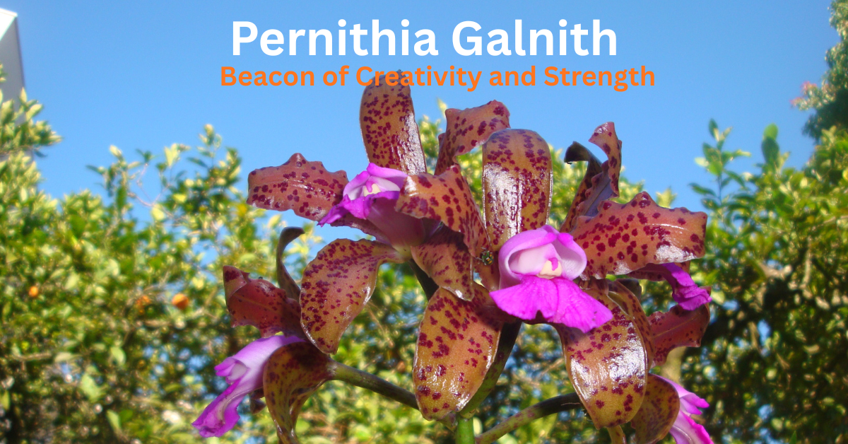 Pernithia Galnith