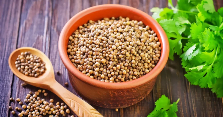 Koriandri: A Plant That Brings Flavor and Health