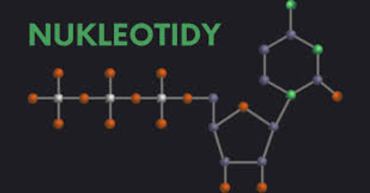Nukleotidy